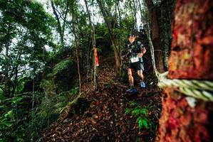 BIB: 
                            <button type="button" onclick="openModal(26197885)" class="btn btn-primary btn-sm float-right btn-popup" data-toggle="modal" data-target=".modal-high-quality">
                        <i class="fas fa-shopping-cart"></i> Add to Cart
                    </button>
                                            <button type="button" onclick="isThisMe(26197885, true)" class="btn btn-success btn-sm float-right btn-popup btn-isme hidden" data-toggle="tooltip" data-placement="bottom" title="นี่คือรูปของคุณใช่ไหม คลิกที่นี่เพื่อเอาเข้าอัลบั้ม">
                        <i class="fas fa-plus"></i> Add to album
                    </button>
                    <button type="button" onclick="isThisMe(26197885, false)" class="btn btn-warning btn-sm float-right btn-popup btn-isnotme hidden">
                        <i class="fas fa-ban"></i> Remove from album
                    </button>